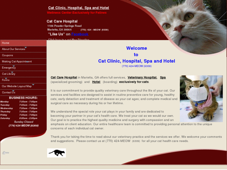 www.catclinichospital.com