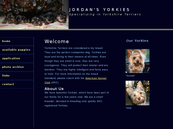 www.jordansyorkies.com