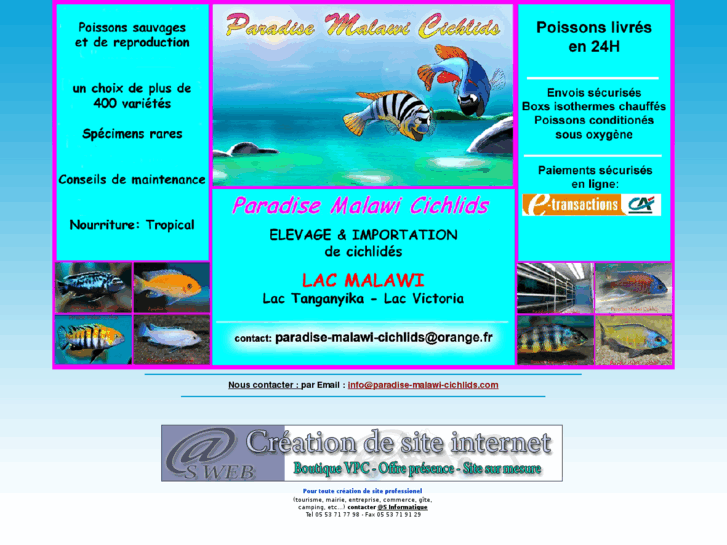 www.paradise-malawi-cichlids.com
