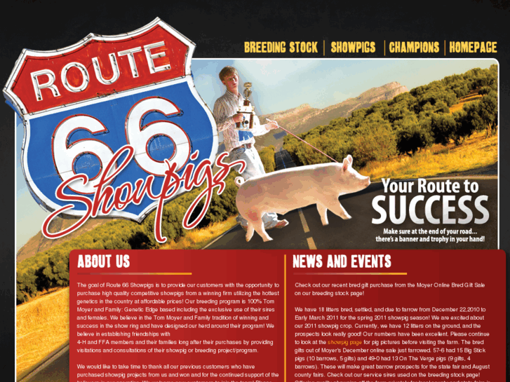 www.route66showpigs.com