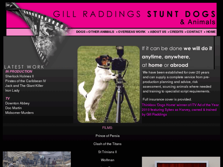 www.stuntdogs.net