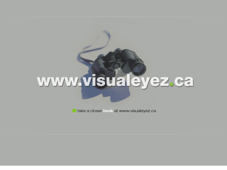 www.visualeyez.ca