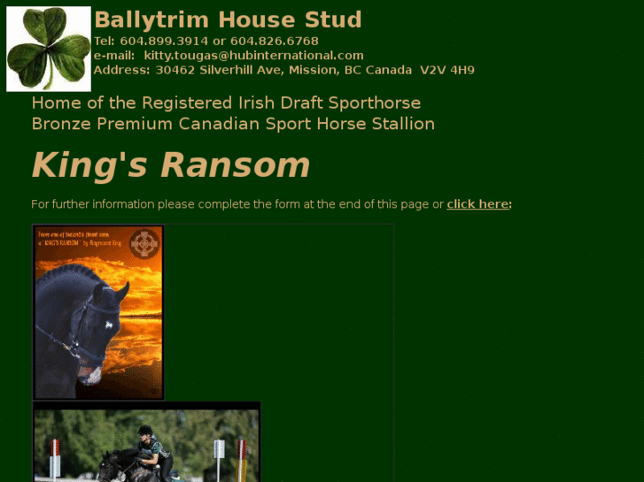 www.ballytrimirishstud.com