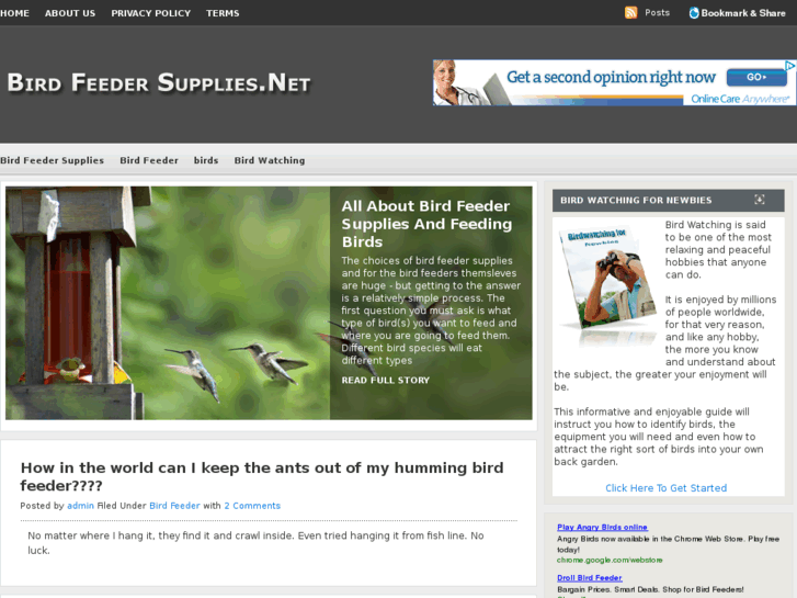 www.birdfeedersupplies.net