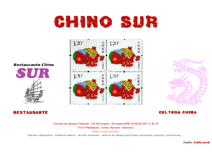 www.chinosur.com