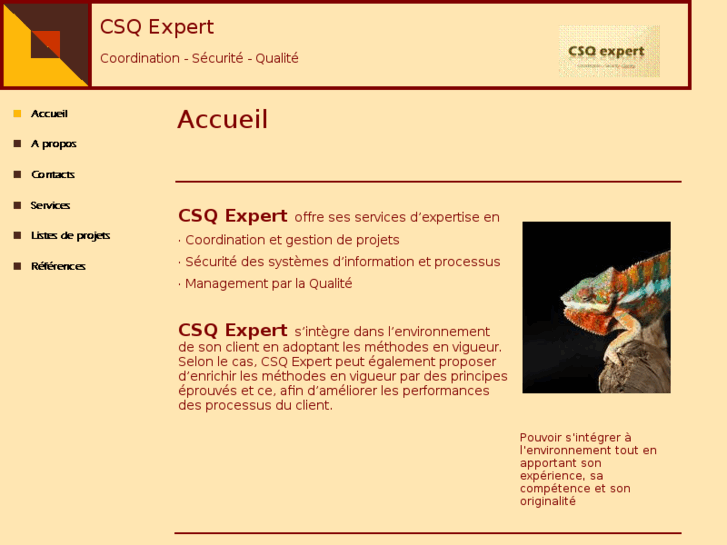 www.csqexpert.com