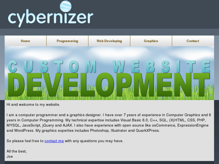 www.cybernizer.com