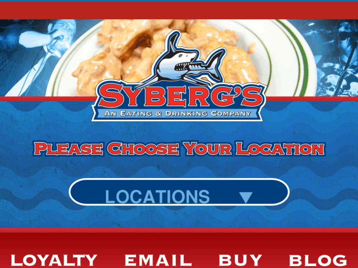 www.sybergs.com