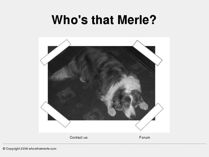 www.whosthatmerle.com