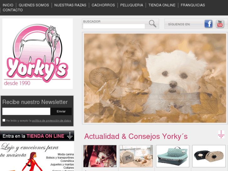 www.yorkys.com