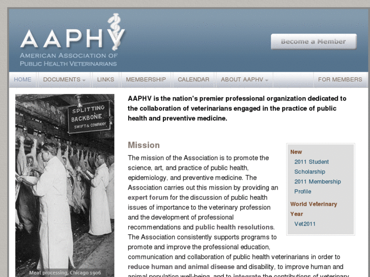 www.aaphv.org