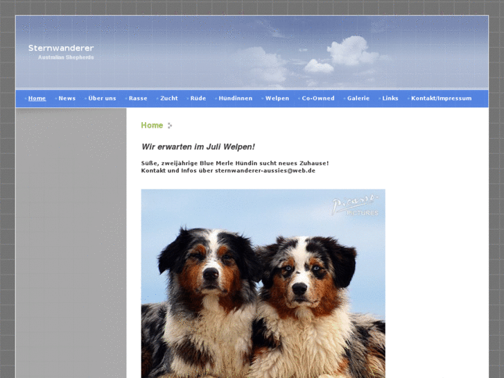 www.australian-shepherd-zucht.info