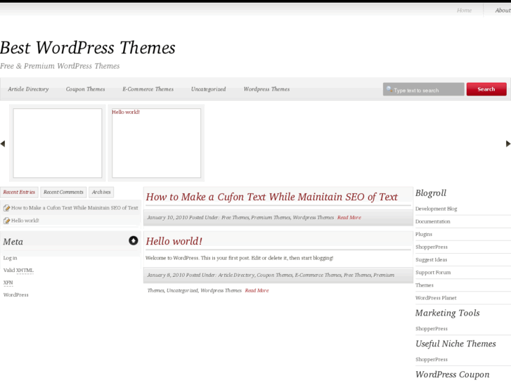 www.bestwp-themes.com