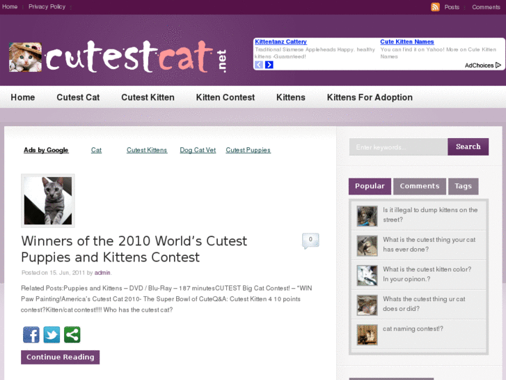 www.cutestcat.net