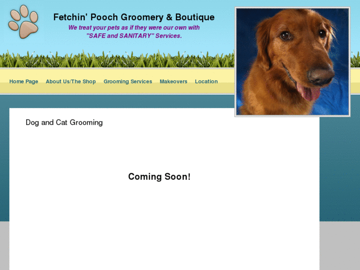 www.fetchinpooch.com