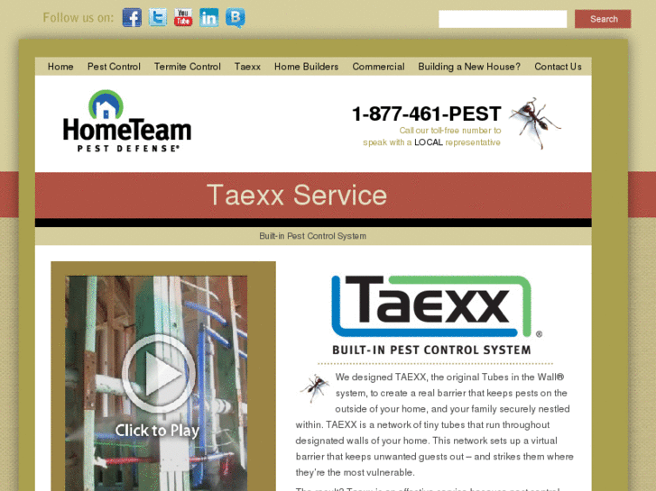 www.taexx.biz