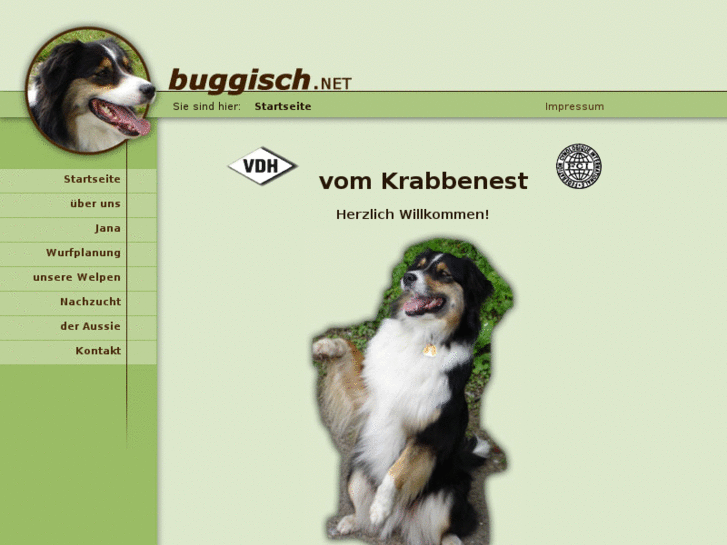 www.buggisch.net