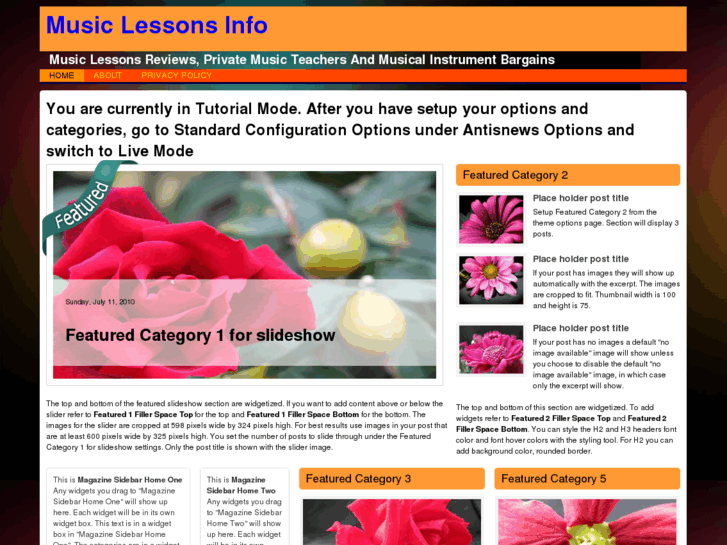 www.music-lessons-info.com