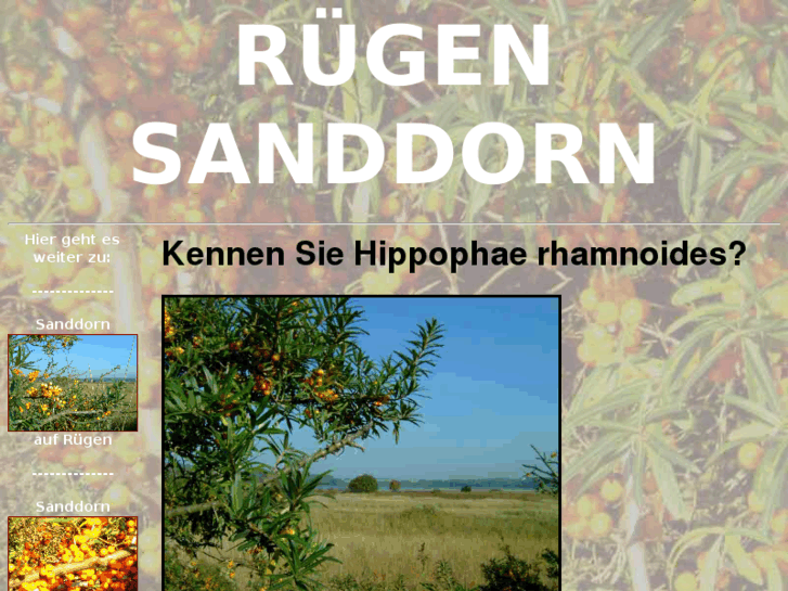 www.ruegensanddorn.de