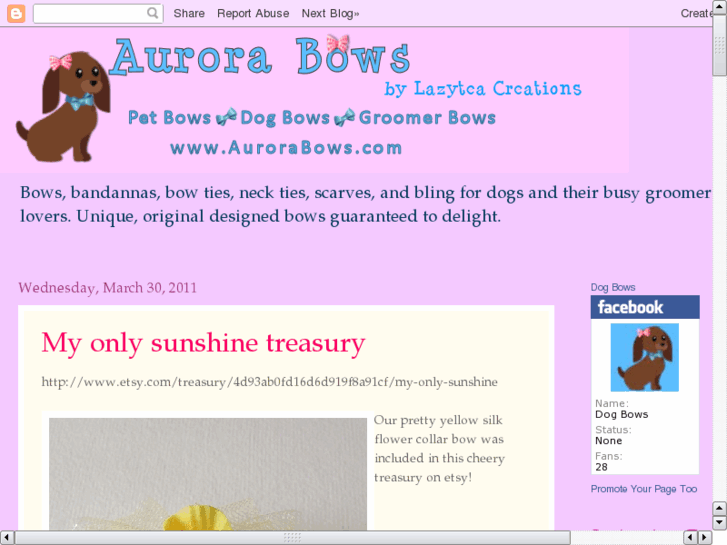 www.aurorabows.com