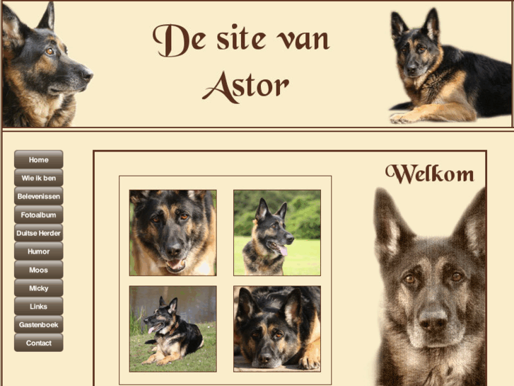 www.happy-astor.nl