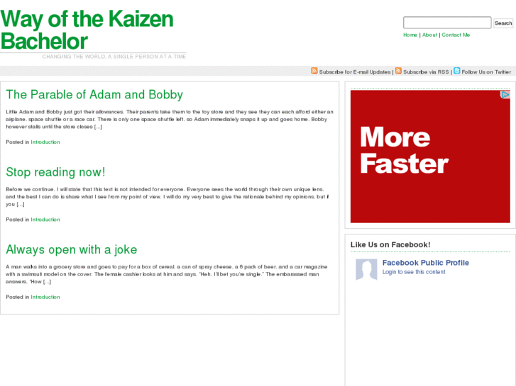 www.kaizenbachelor.com