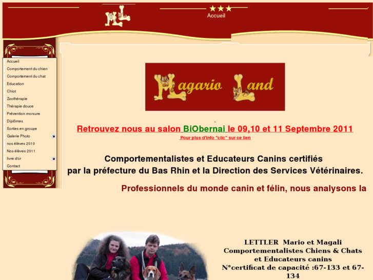 www.magario-land.com