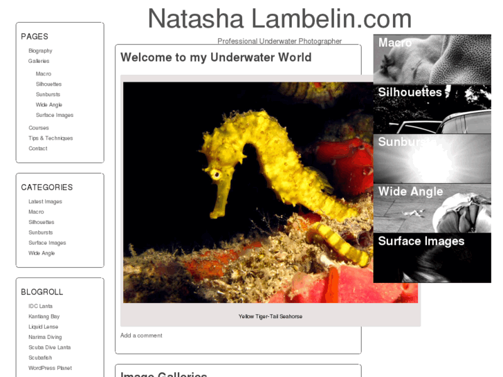 www.natashalambelin.com