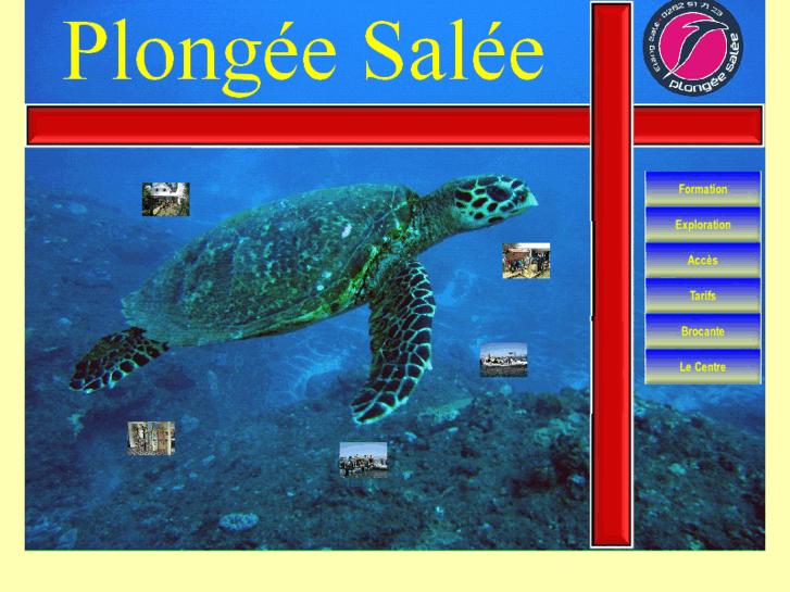 www.plongeesalee.com