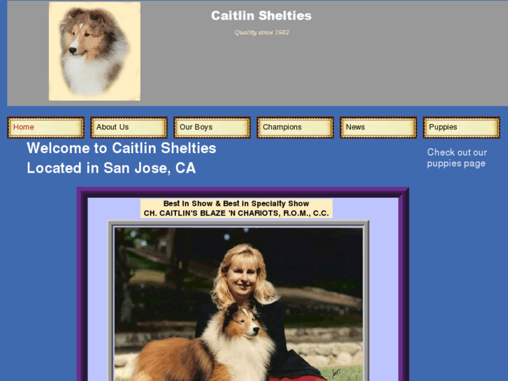 www.caitlinshelties.com