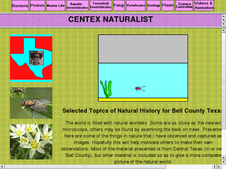 www.centexnaturalist.com