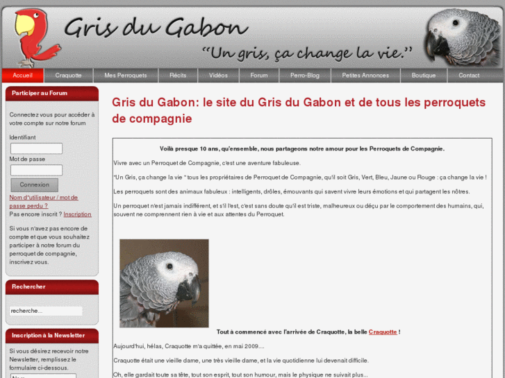 www.grisdugabon.com