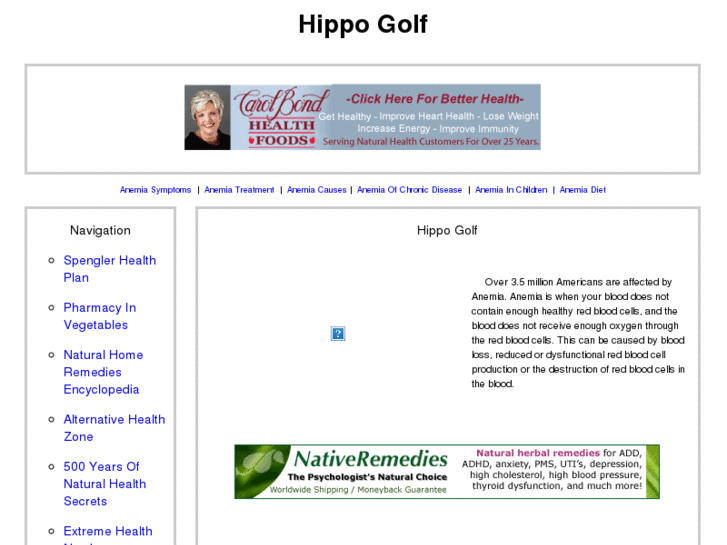 www.hippogolf.org