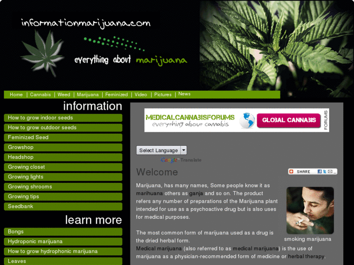 www.informationmarijuana.com