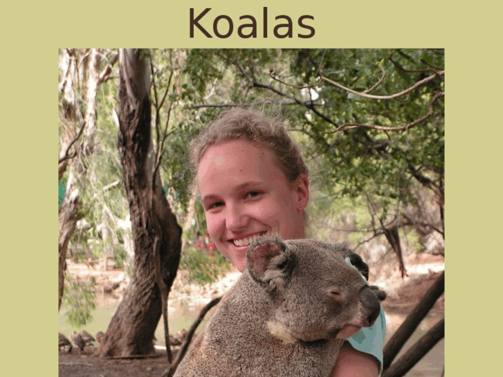 www.koalas.nl