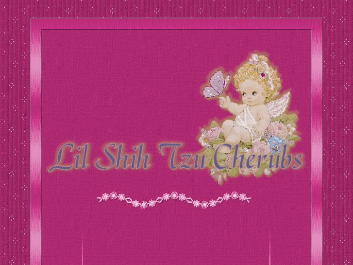 www.lilshihtzucherubs.com