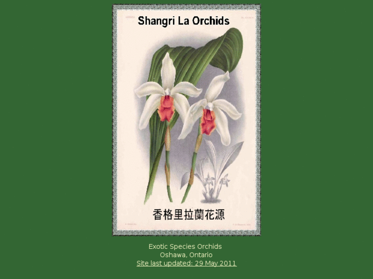 www.shangri-la-orchids.com