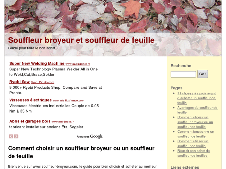 www.souffleur-broyeur.com