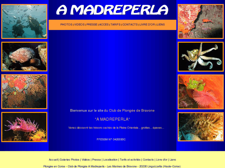 www.amadreperla.com