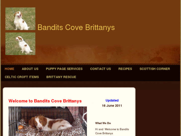 www.banditscovebrittanys.com