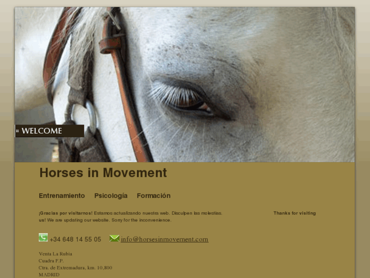 www.horsesinmovement.com