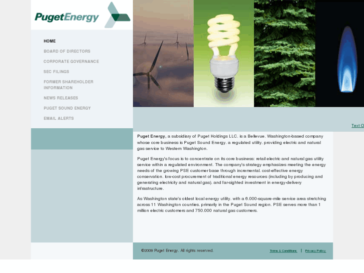 www.pugetenergy.com