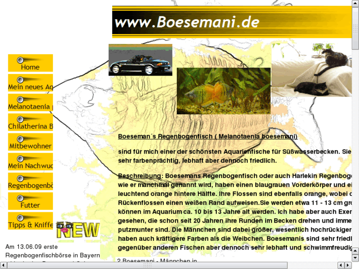 www.boesemani.de