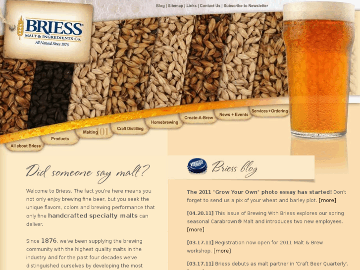 www.brewingwithbriess.com