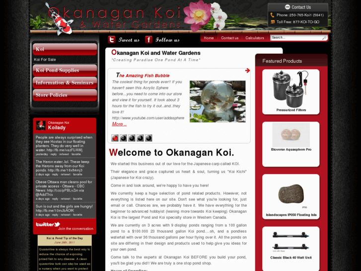 www.gotkoi.net