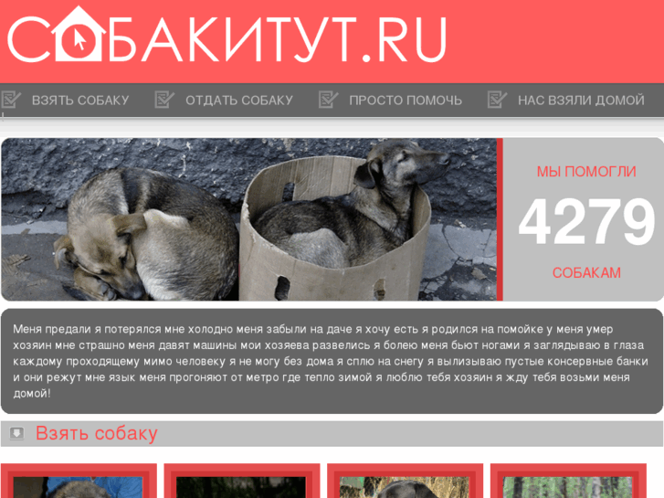 www.sobakitut.ru