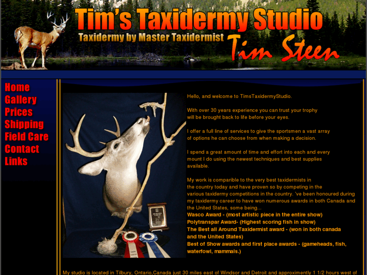 www.timstaxidermystudio.com