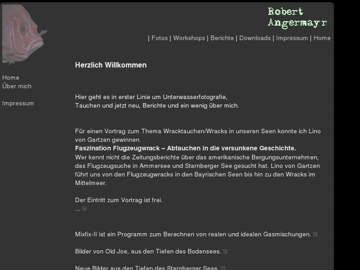 www.angermayr.net