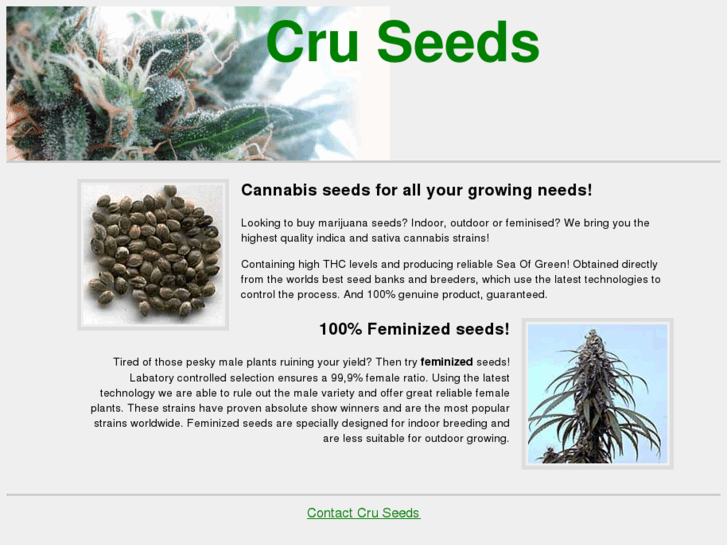 www.cruseeds.com