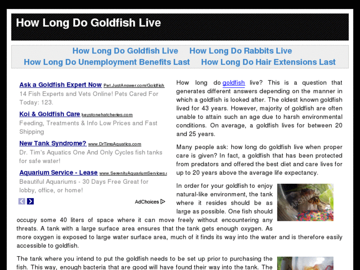 www.howlongdogoldfishlive.com